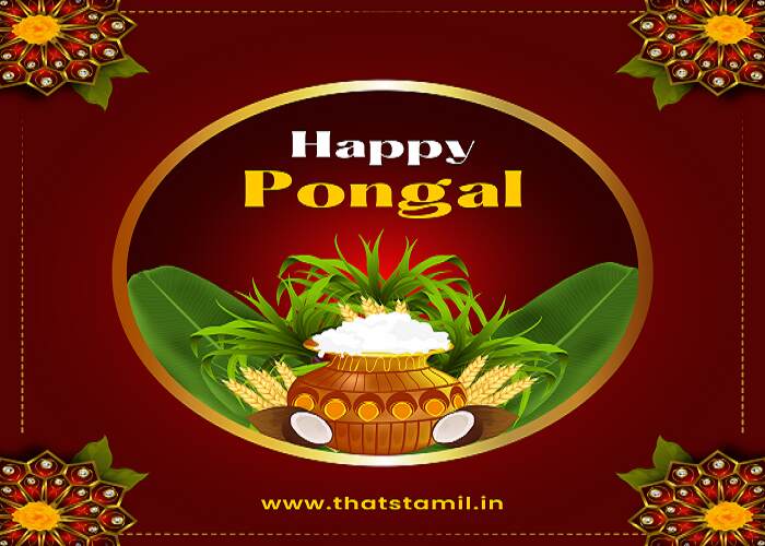 pongal wishes in tamil