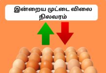 நாமக்கல் இன்றைய முட்டை விலை நிலவரம் Today Namakkal Egg Rate