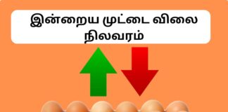 நாமக்கல் இன்றைய முட்டை விலை நிலவரம் Today Namakkal Egg Rate