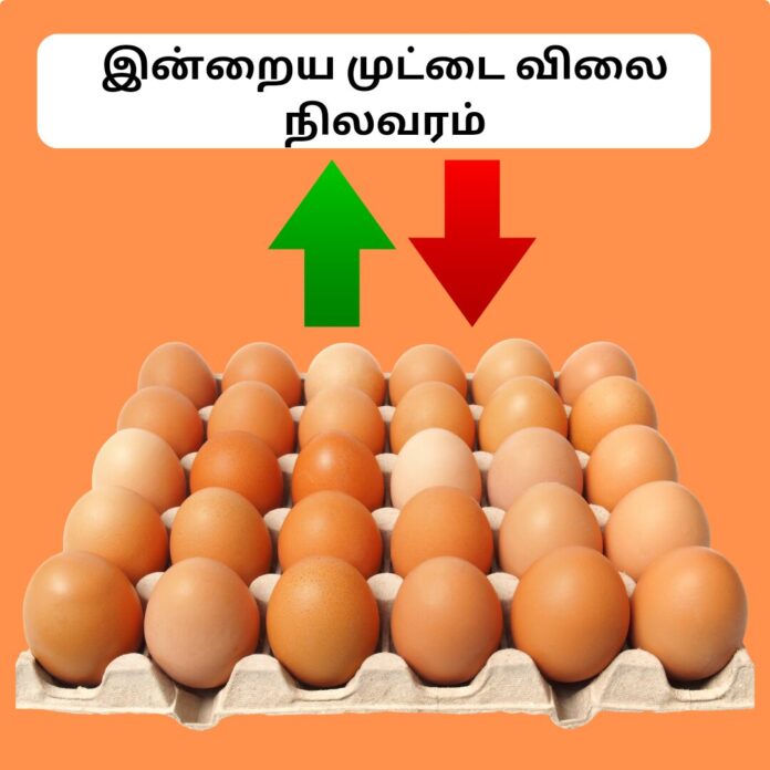 நாமக்கல் இன்றைய முட்டை விலை நிலவரம் Today Namakkal Egg Rate