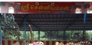 நீப்பத்துறை சென்னம்மாள் கோவில் வரலாறு Neepathurai Chennamma Kovil History in Tamil