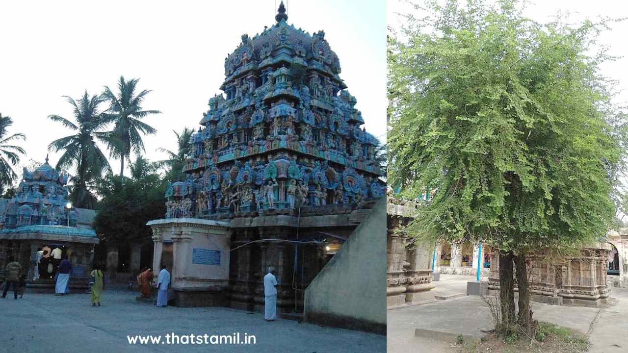 எண்கண் முருகன் கோவில் பரிகார தலம்